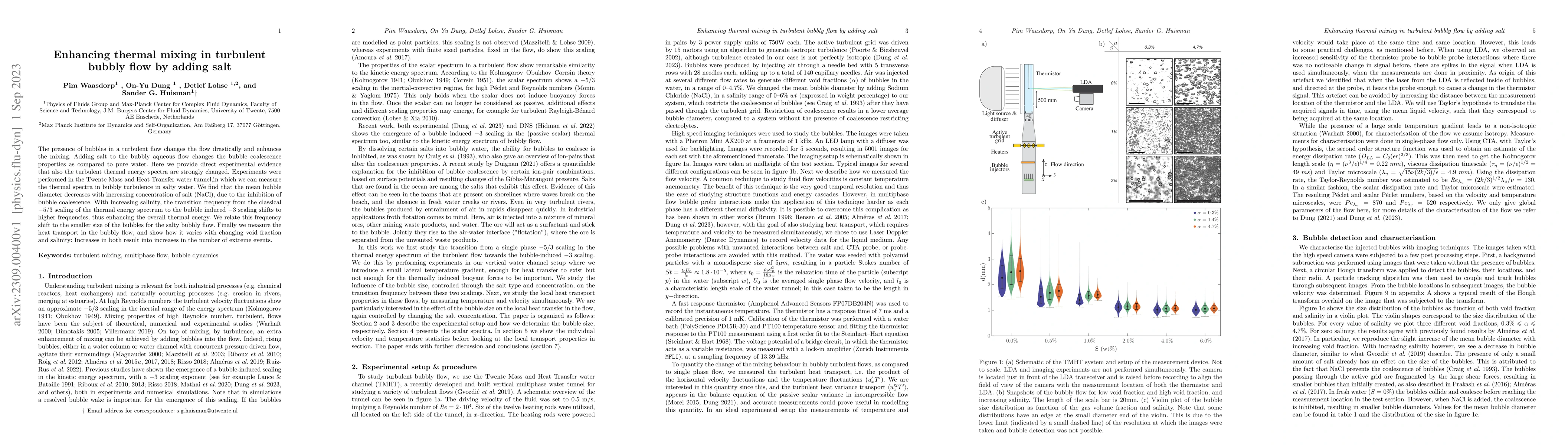 Thumbnail for Enhancing thermal mixing in turbulent bubbly flow by adding salt