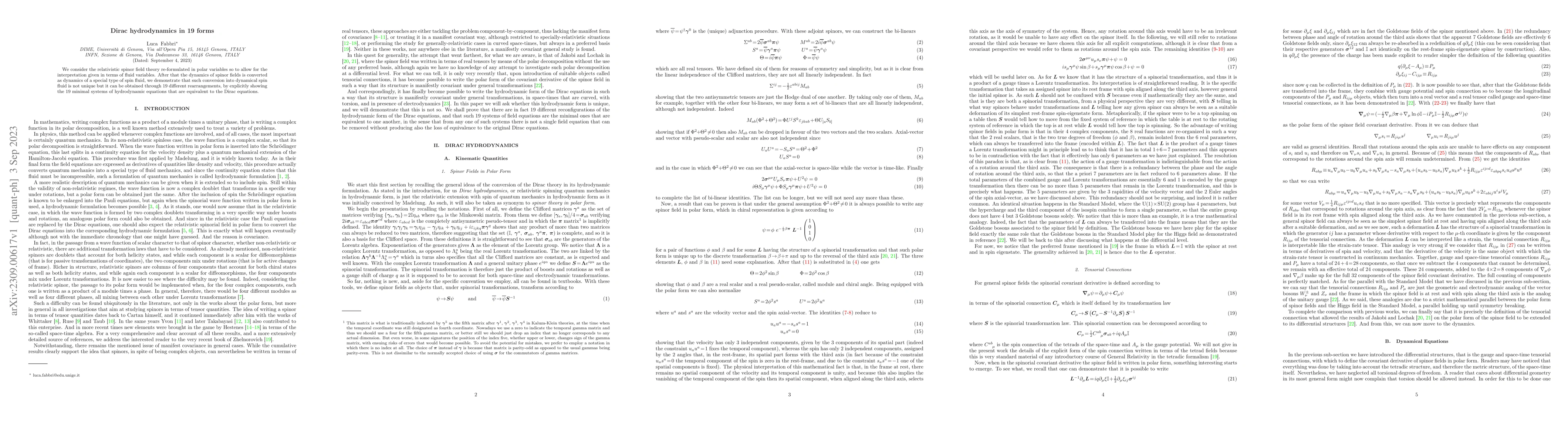 Thumbnail for Dirac hydrodynamics in 19 forms