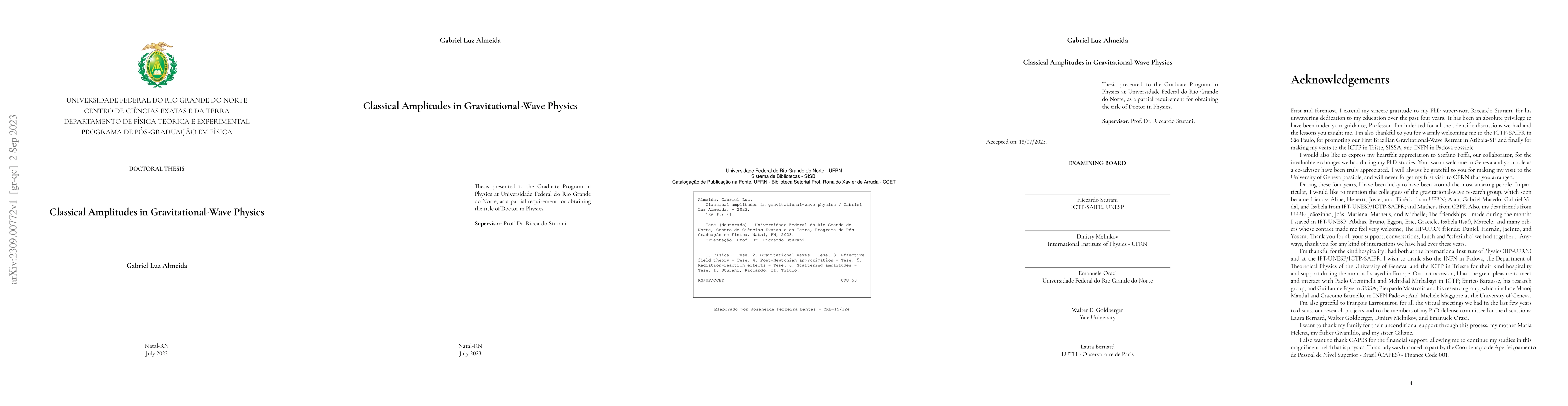 Thumbnail for Classical Amplitudes in Gravitational-Wave Physics
