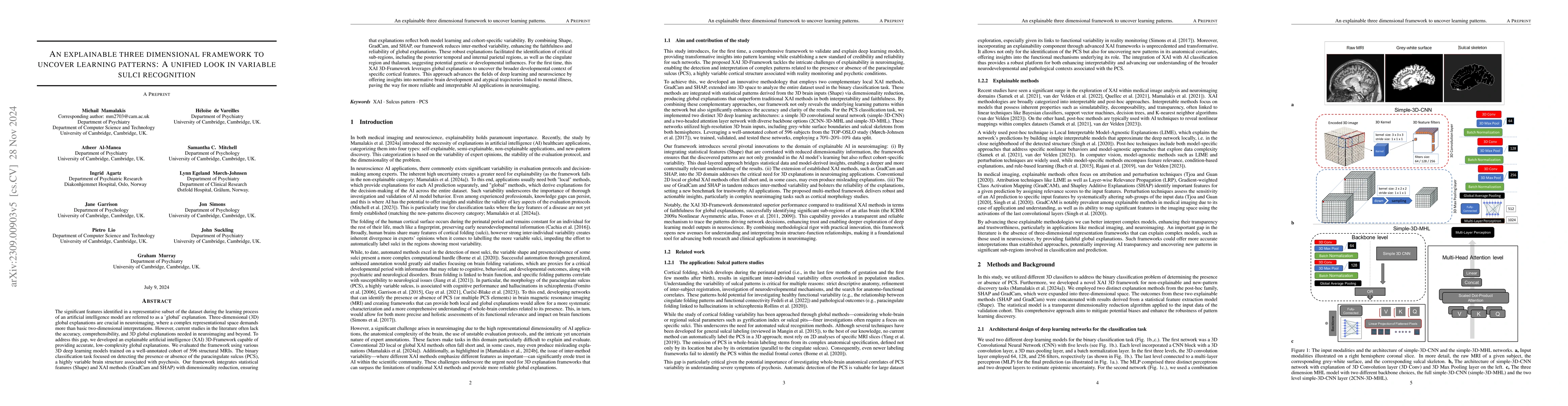 Thumbnail for An explainable three dimension framework to uncover learning patterns: A
  unified look in variable sulci recognition