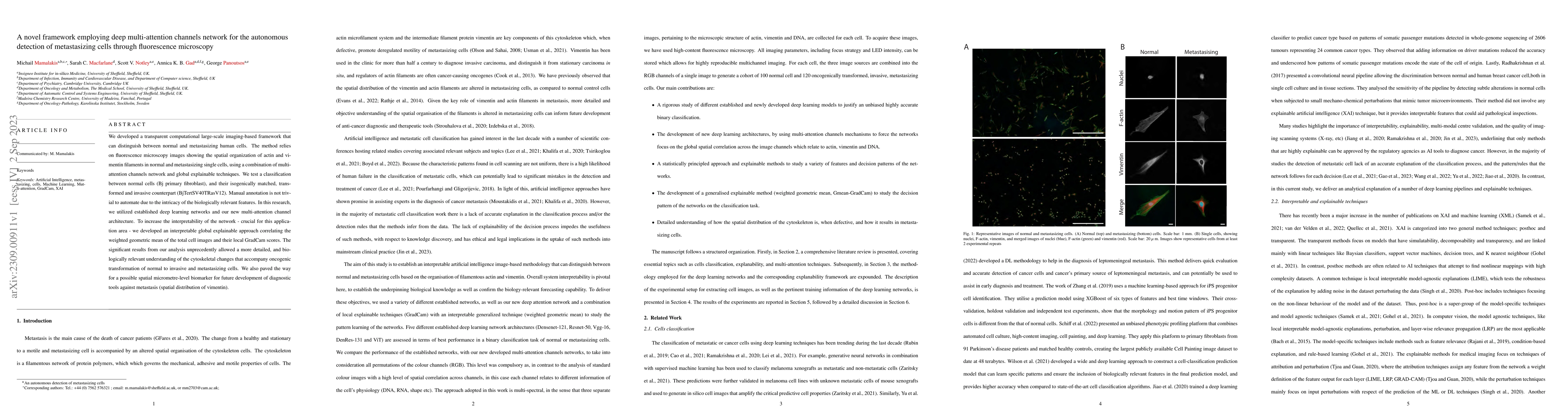 Thumbnail for A novel framework employing deep multi-attention channels network for
  the autonomous detection of metastasizing cells through fluorescence
  microscopy