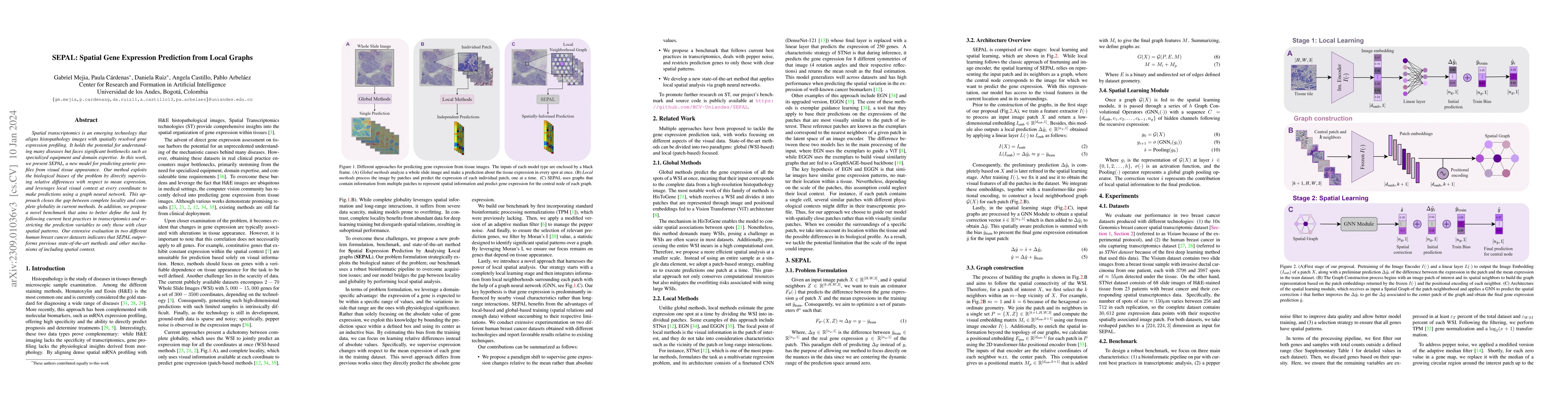Thumbnail for SEPAL: Spatial Gene Expression Prediction from Local Graphs