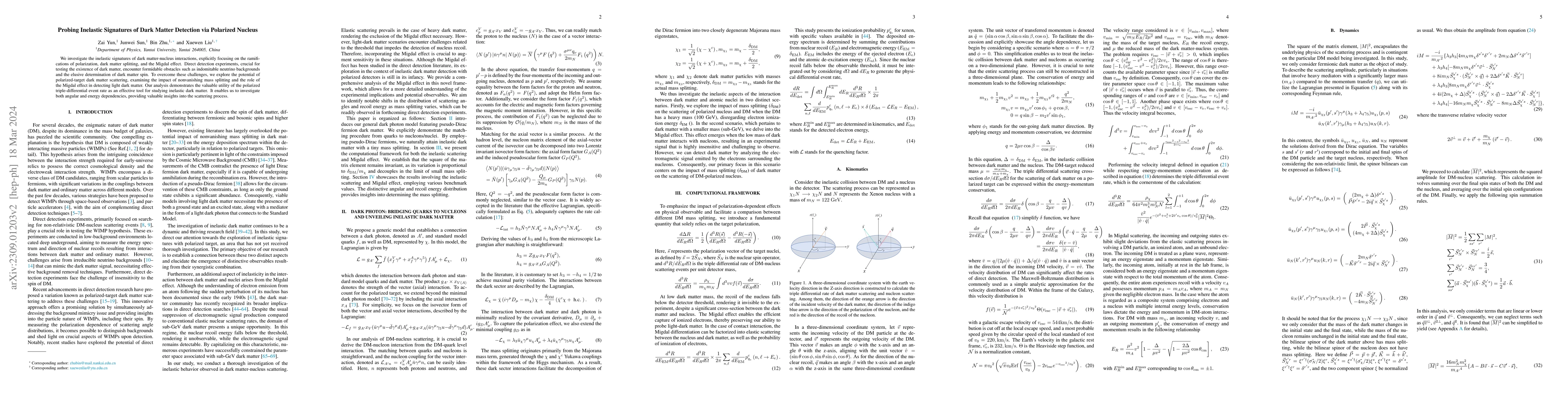 Thumbnail for Probing Inelastic Signatures of Dark Matter Detection via Polarized
  Nucleus
