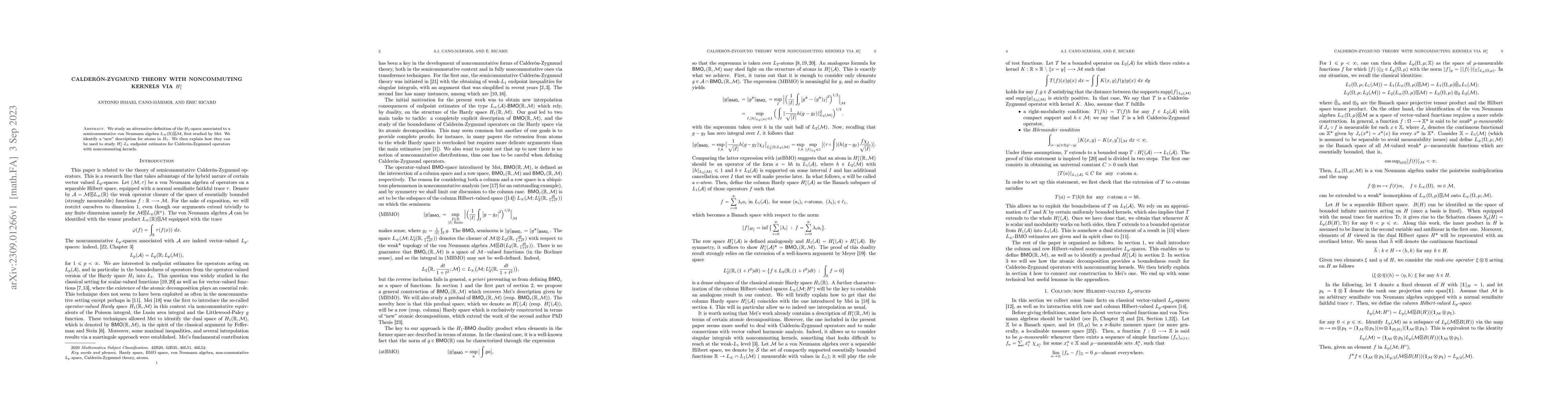 Thumbnail for Calder\'on-Zygmund theory with noncommuting kernels via $H_1^c$
