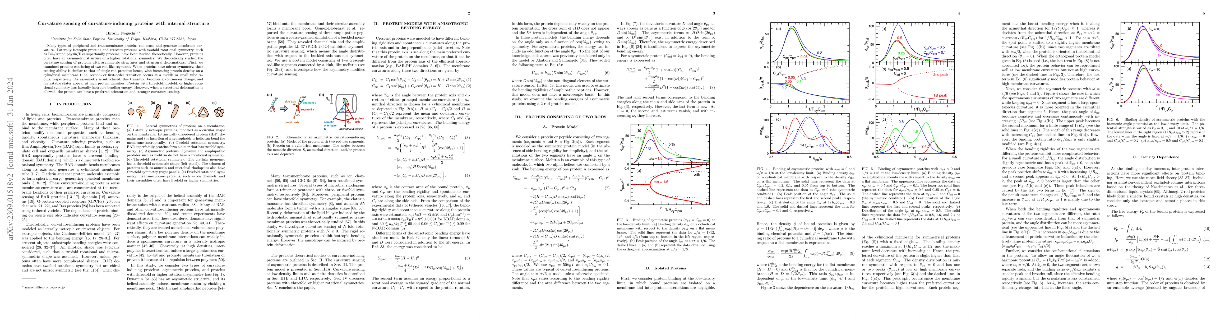Thumbnail for Curvature sensing of curvature-inducing proteins with internal structure