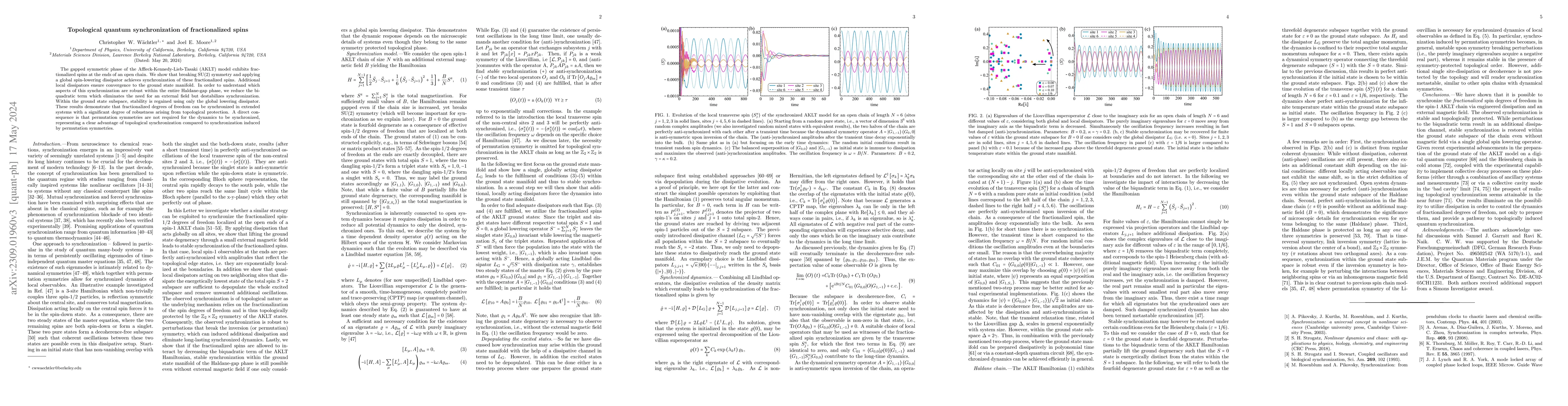 Thumbnail for Topological quantum synchronization of fractionalized spins
