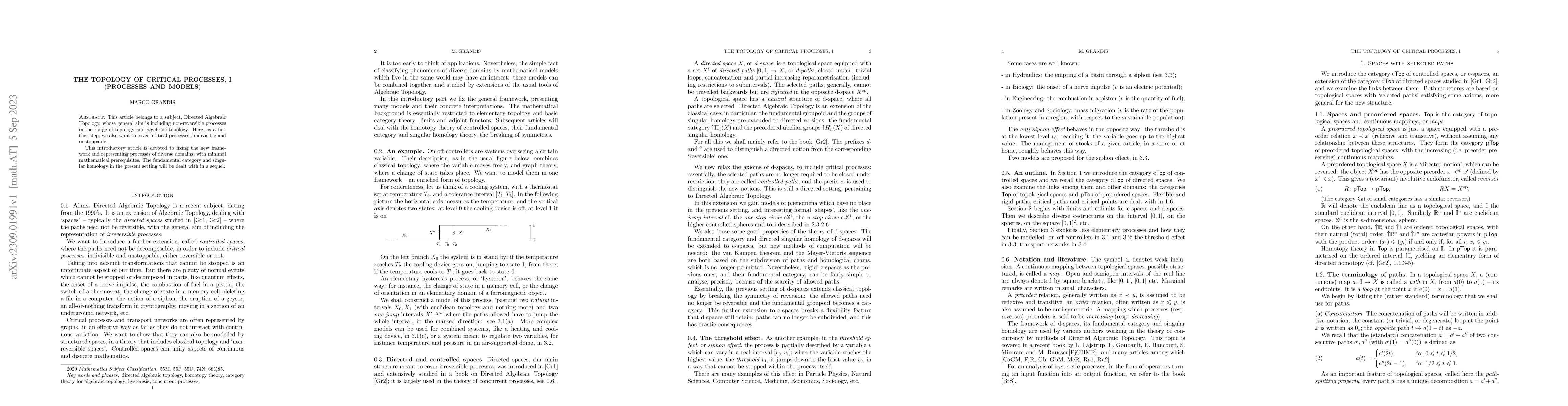 Thumbnail for The topology of critical processes, I (Processes and Models)