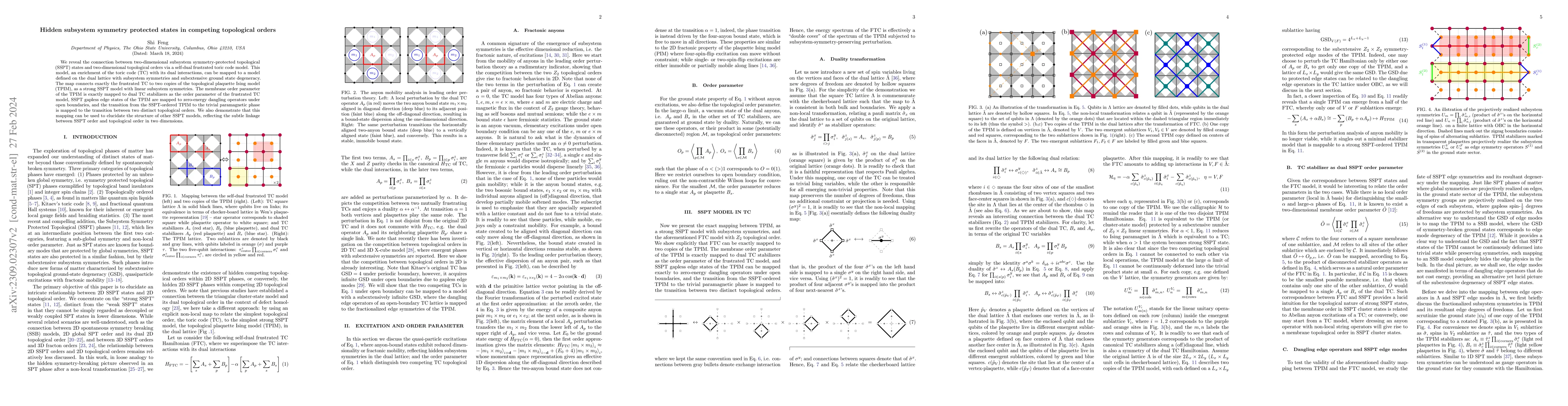 Thumbnail for Hidden subsystem symmetry protected states in competing topological
  orders