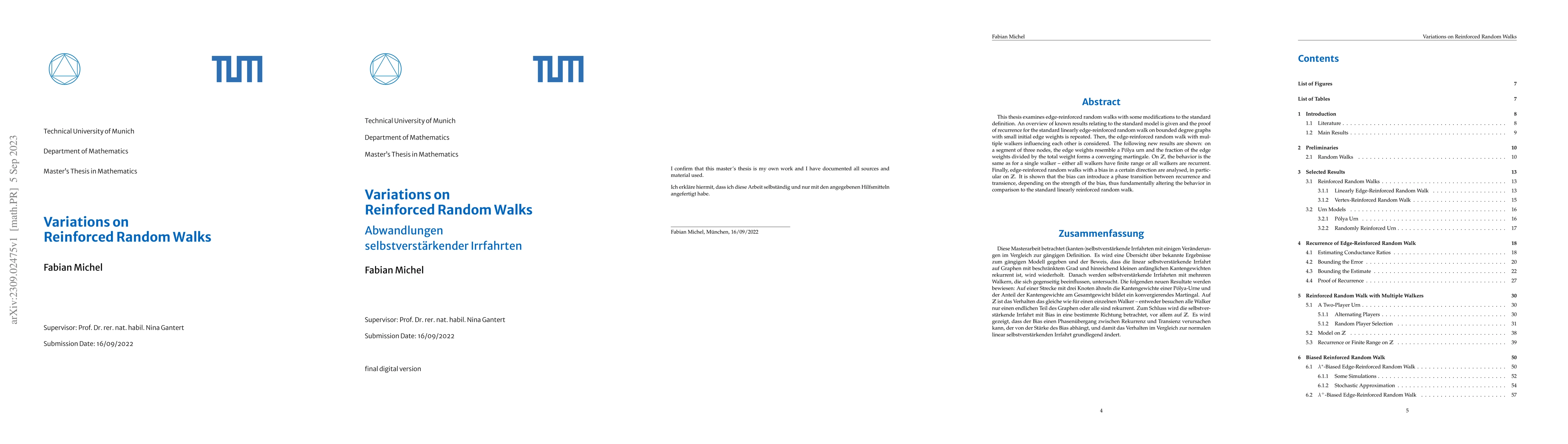 Thumbnail for Variations on Reinforced Random Walks