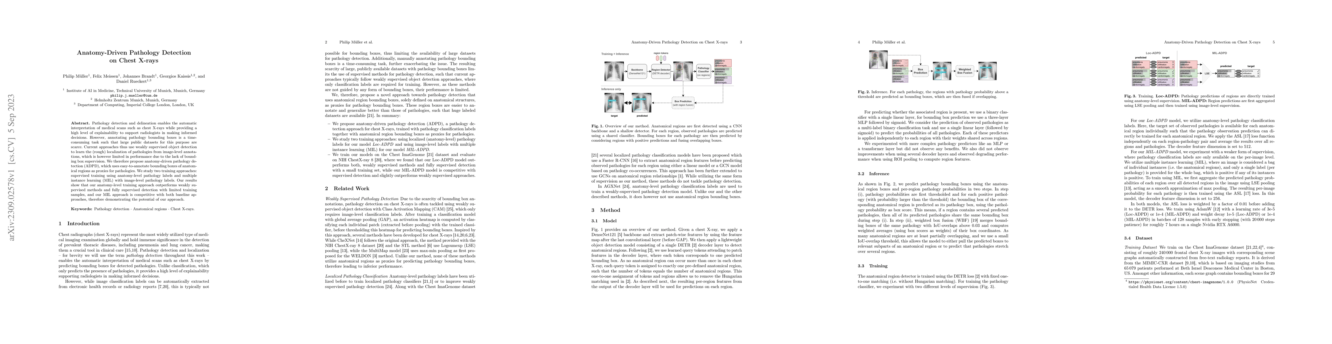 Thumbnail for Anatomy-Driven Pathology Detection on Chest X-rays