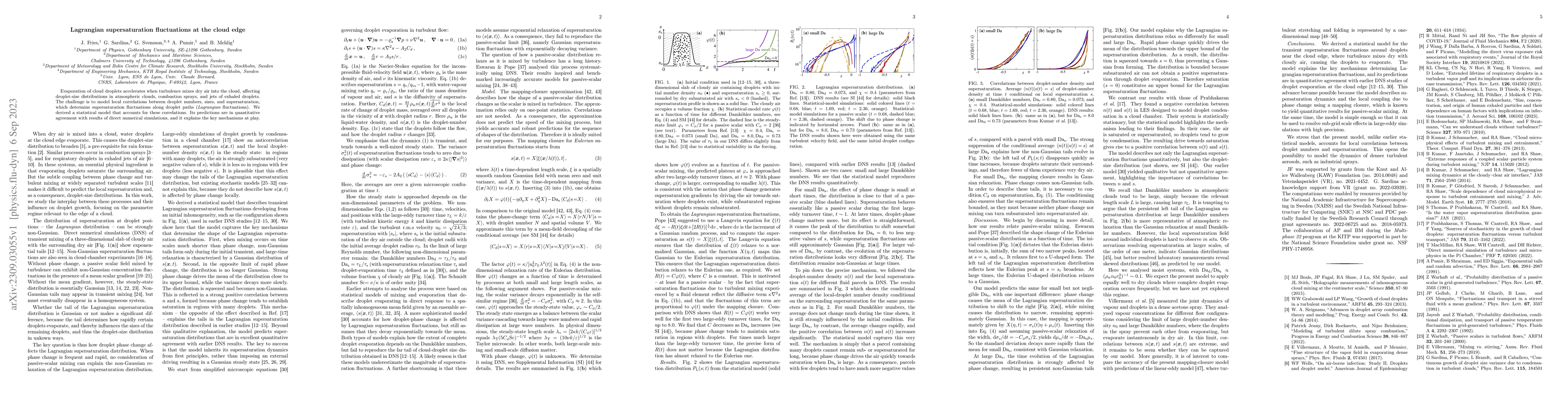Thumbnail for Lagrangian supersaturation fluctuations at the cloud edge