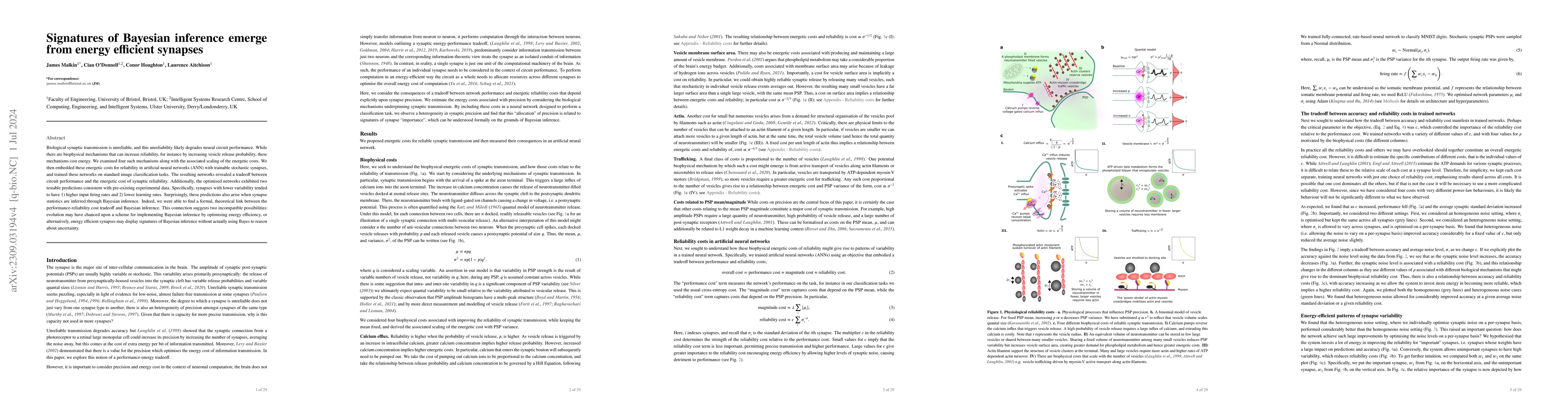 Thumbnail for Signatures of Bayesian inference emerge from energy efficient synapses