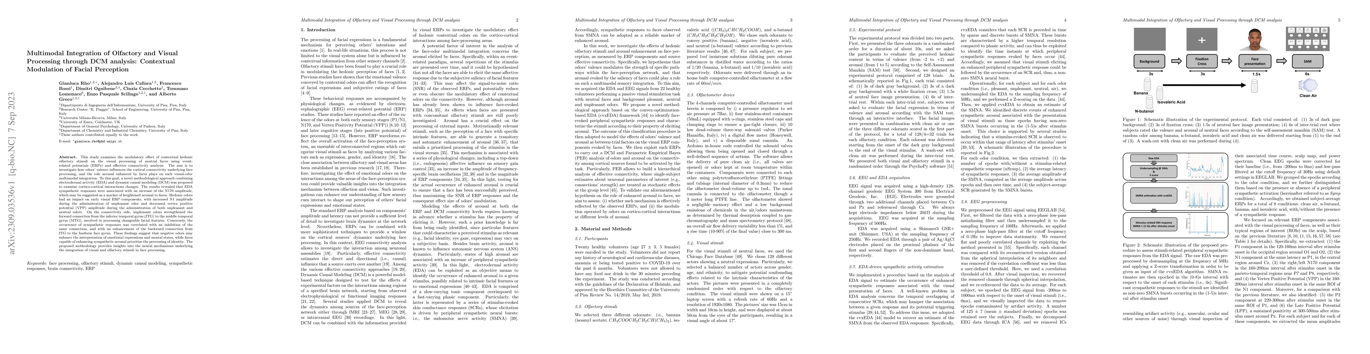 Thumbnail for Multimodal Integration of Olfactory and Visual Processing through DCM
  analysis: Contextual Modulation of Facial Perception