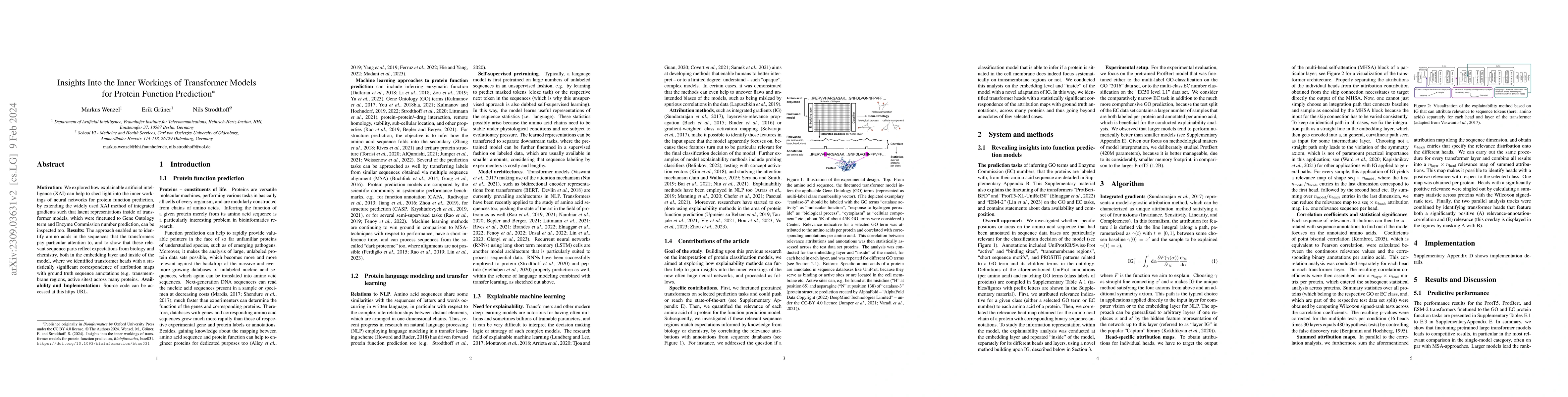 Thumbnail for Insights Into the Inner Workings of Transformer Models for Protein
  Function Prediction