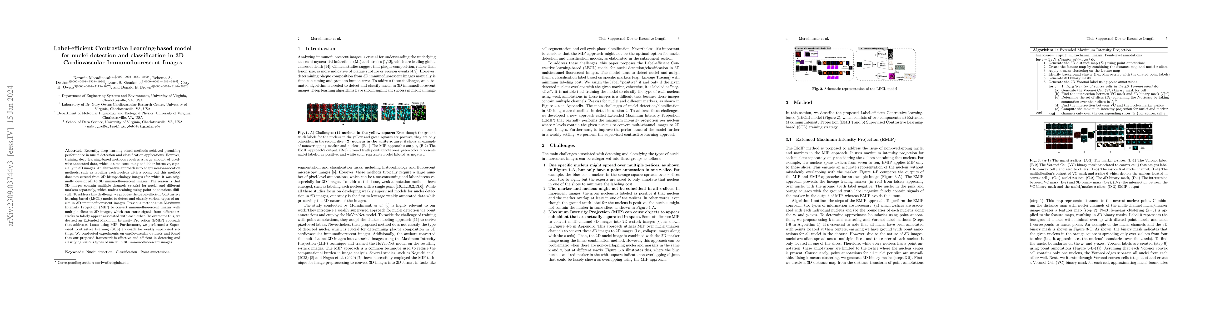 Thumbnail for Label-efficient Contrastive Learning-based model for nuclei detection
  and classification in 3D Cardiovascular Immunofluorescent Images