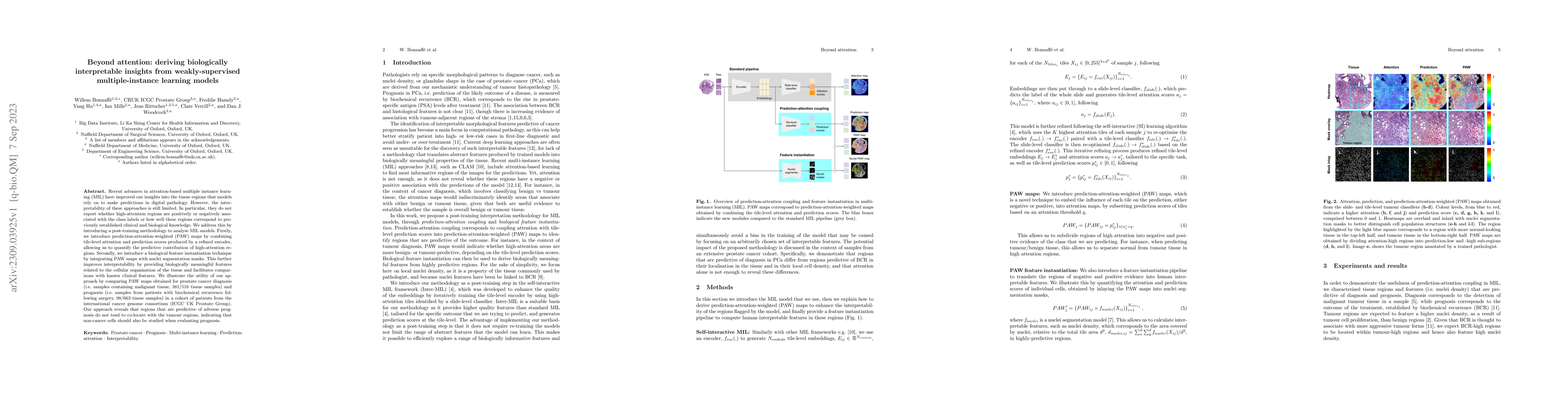 Thumbnail for Beyond attention: deriving biologically interpretable insights from
  weakly-supervised multiple-instance learning models