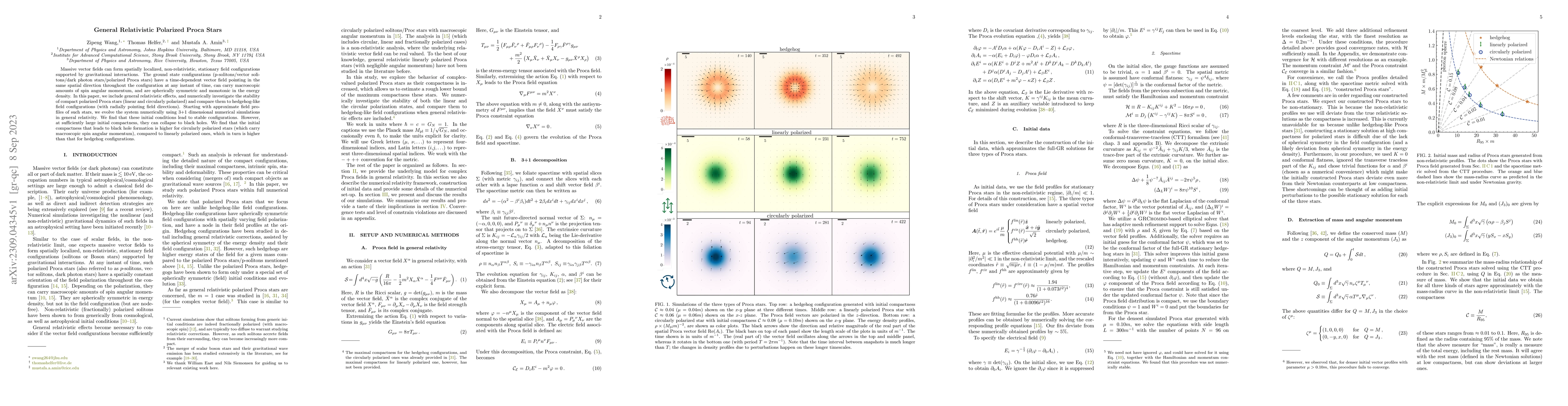 Thumbnail for General Relativistic Polarized Proca Stars