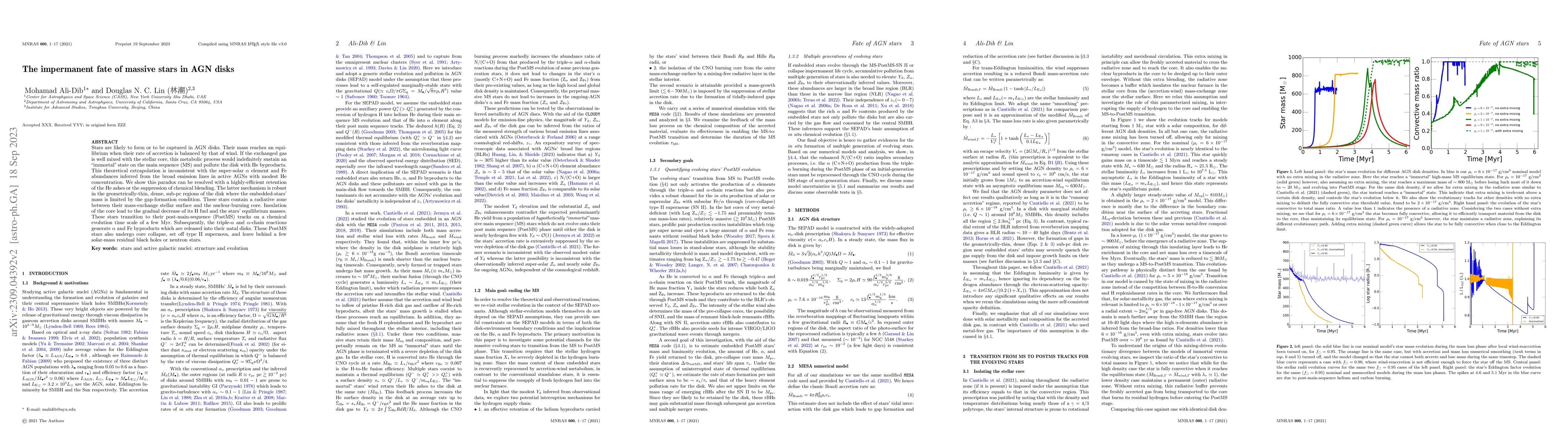Thumbnail for The impermanent fate of massive stars in AGN disks