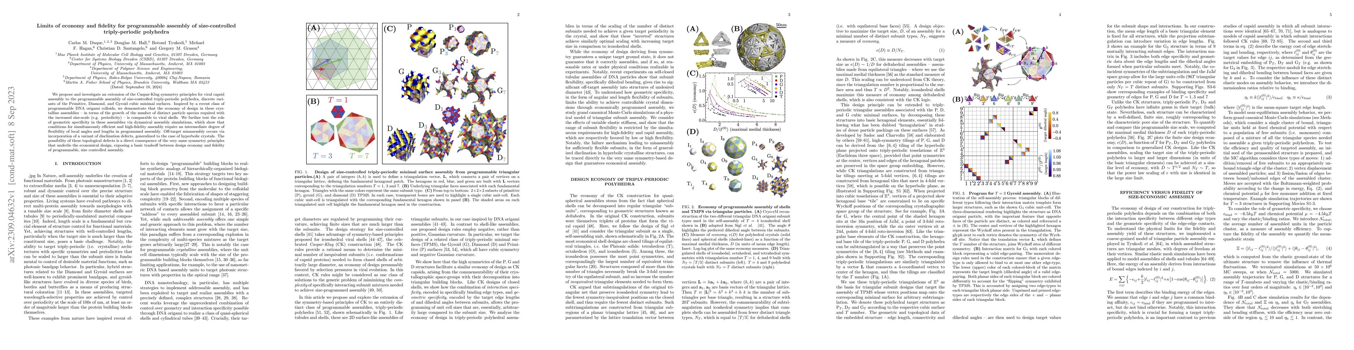 Thumbnail for Limits of economy and fidelity for programmable assembly of
  size-controlled triply-periodic polyhedra