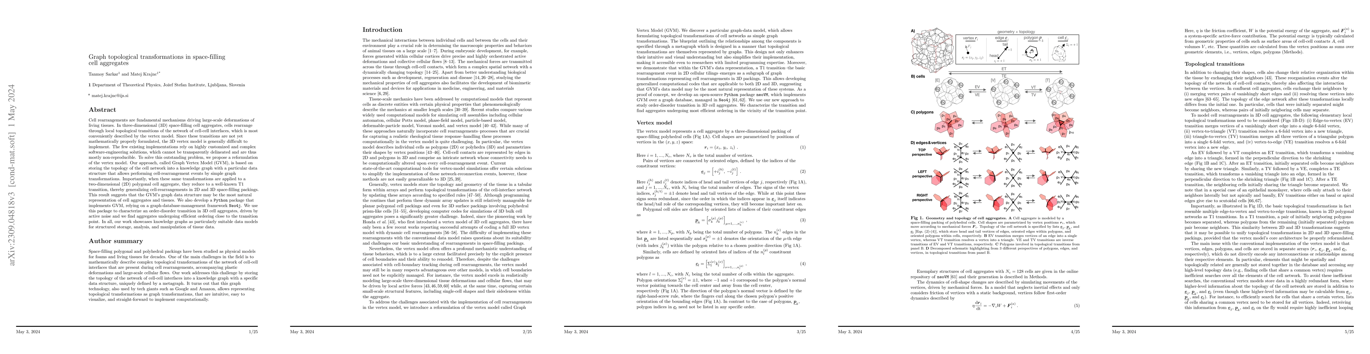 Thumbnail for Graph topological transformations in space-filling cell aggregates