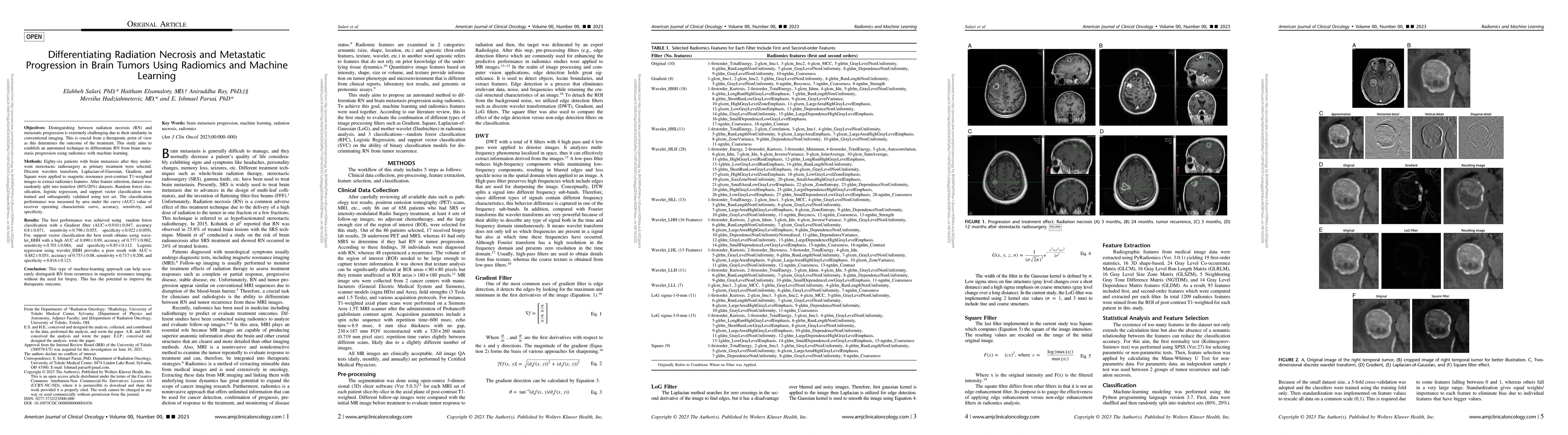 Thumbnail for Differentiating Radiation Necrosis and Metastatic Progression in Brain
  Tumors Using Radiomics and Machine Learning