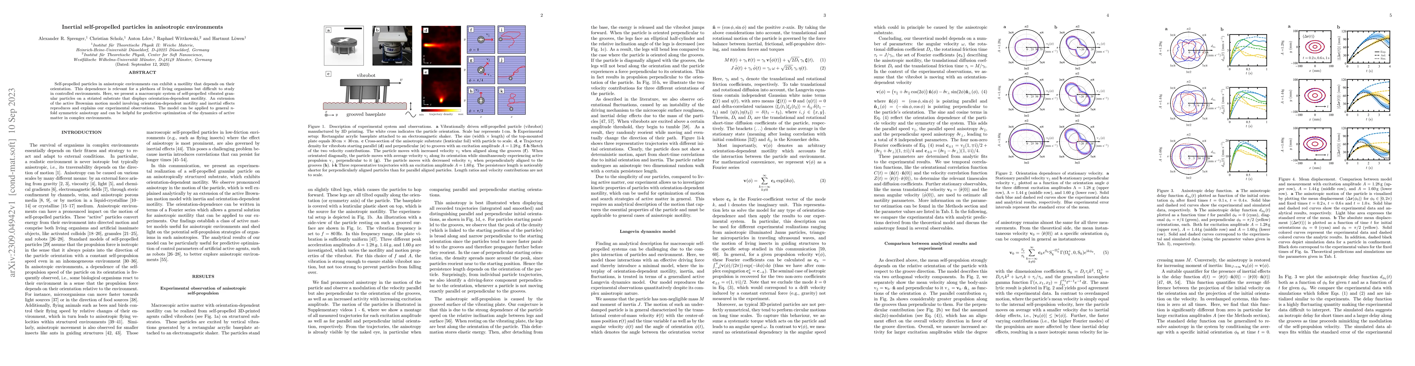 Thumbnail for Inertial self-propelled particles in anisotropic environments