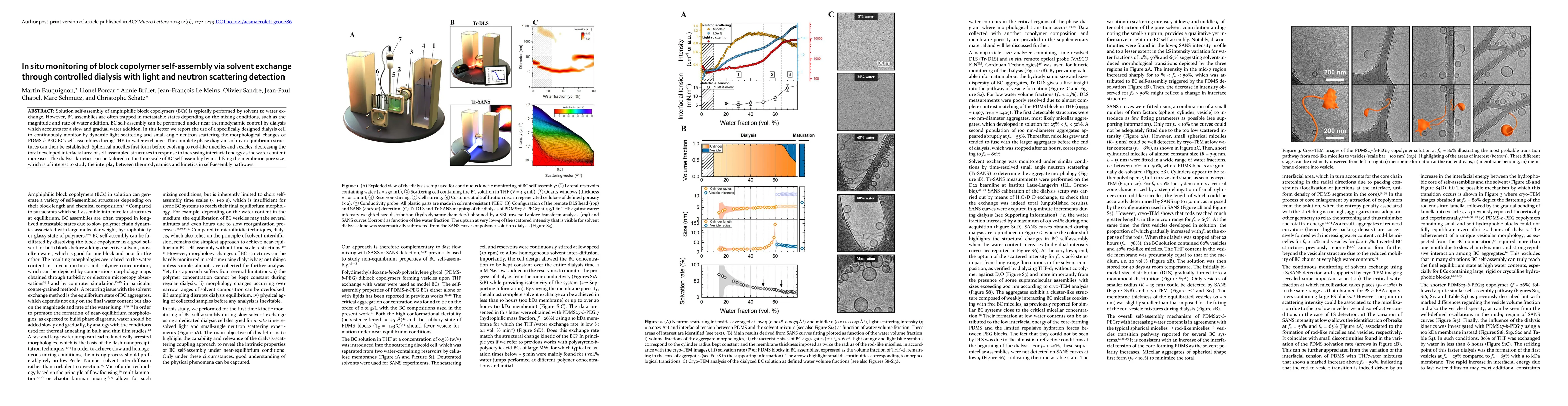 Thumbnail for In situ monitoring of block copolymer self-assembly through controlled
  dialysis with light and neutron scattering detection