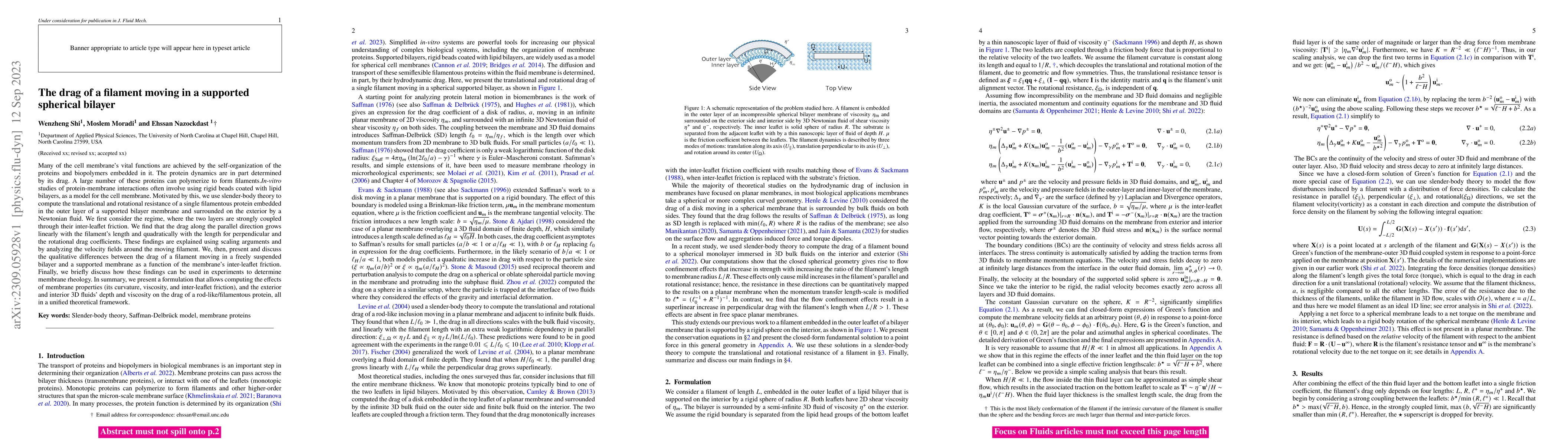 Thumbnail for The drag of a filament moving in a supported spherical bilayer