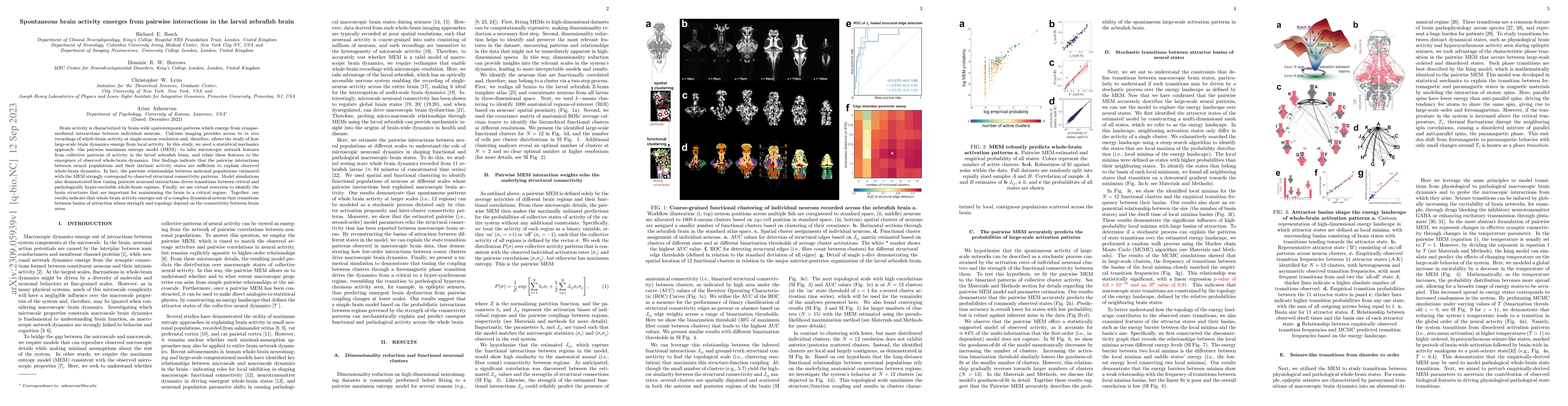 Thumbnail for Spontaneous brain activity emerges from pairwise interactions in the
  larval zebrafish brain