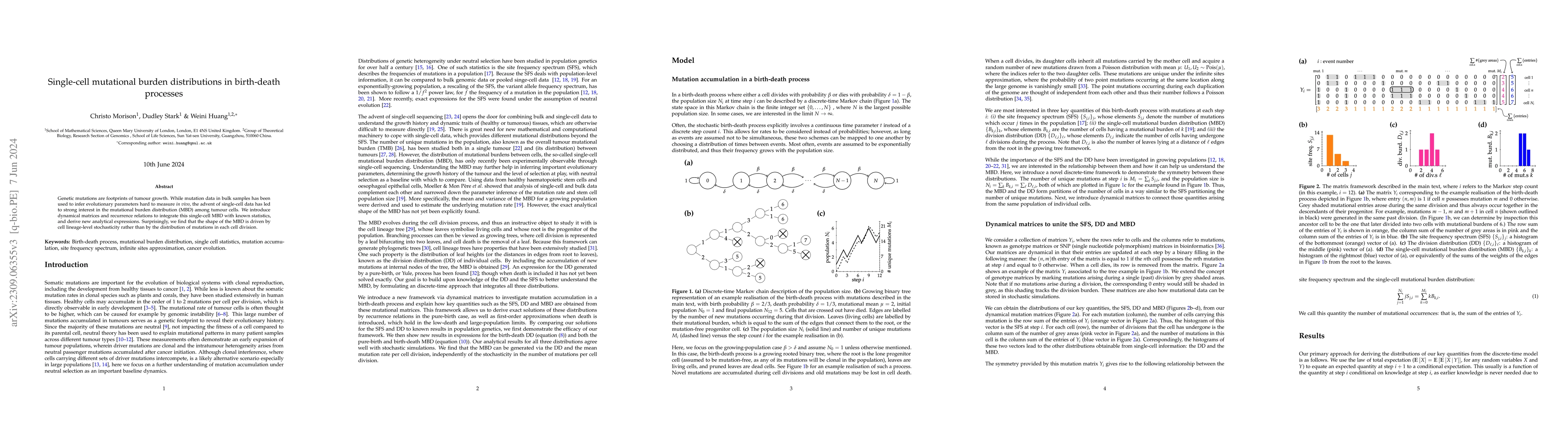Thumbnail for Single-cell mutational burden distributions in birth-death processes