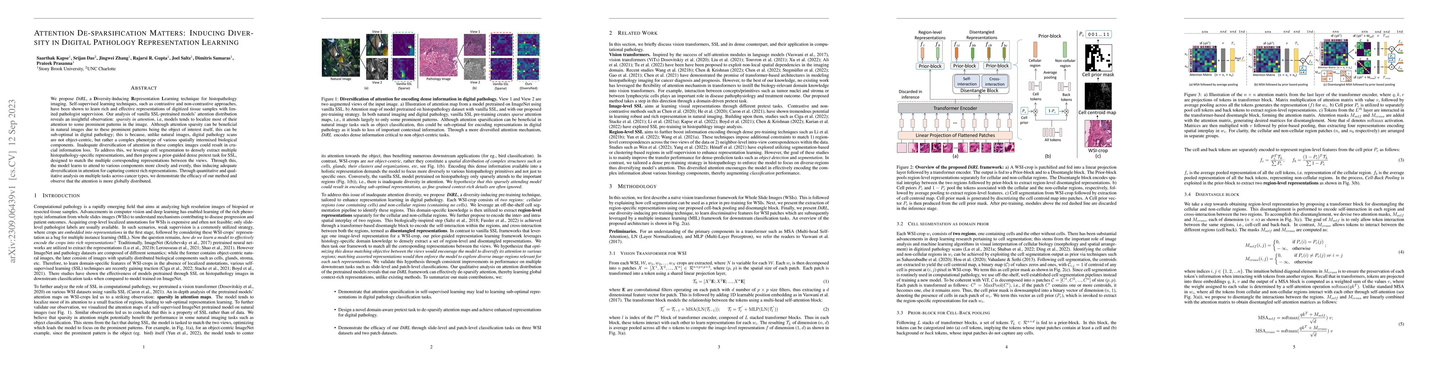 Thumbnail for Attention De-sparsification Matters: Inducing Diversity in Digital
  Pathology Representation Learning