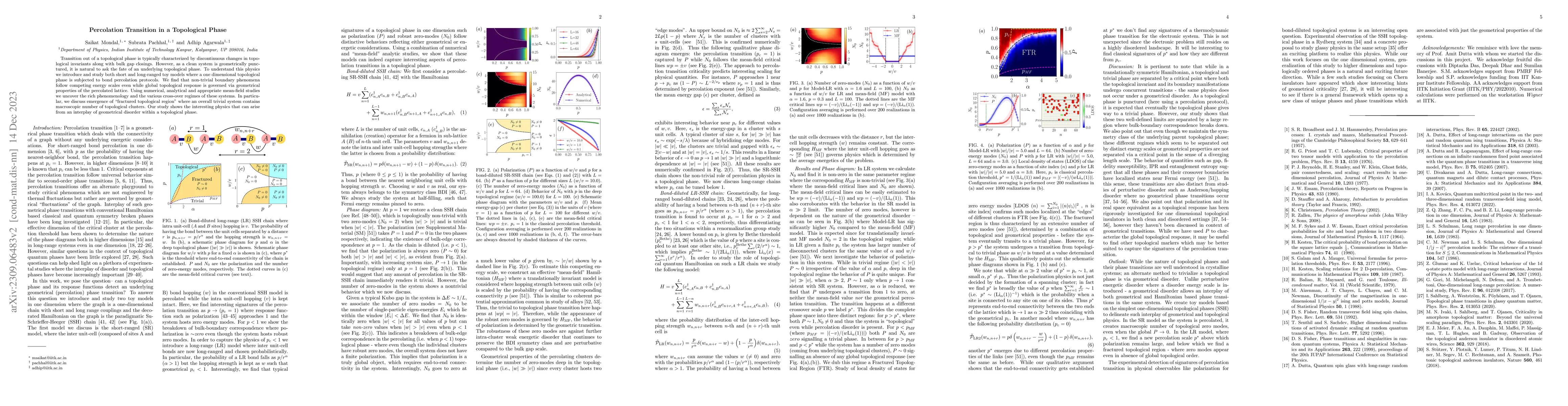 Thumbnail for Percolation Transition in a Topological Phase