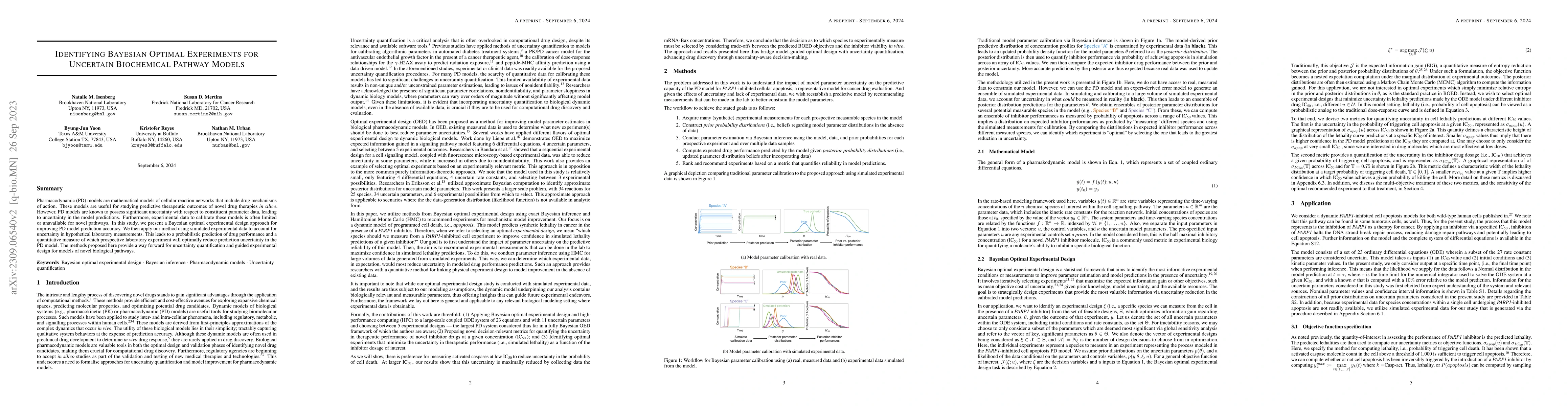 Thumbnail for Identifying Bayesian Optimal Experiments for Uncertain Biochemical
  Pathway Models