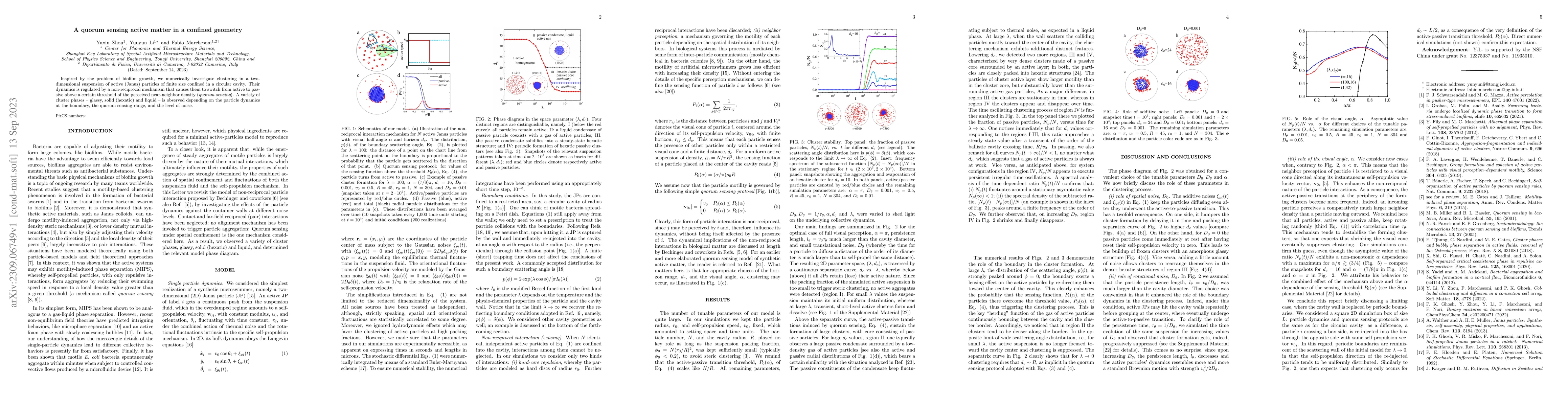 Thumbnail for A quorum sensing active matter in a confined geometry