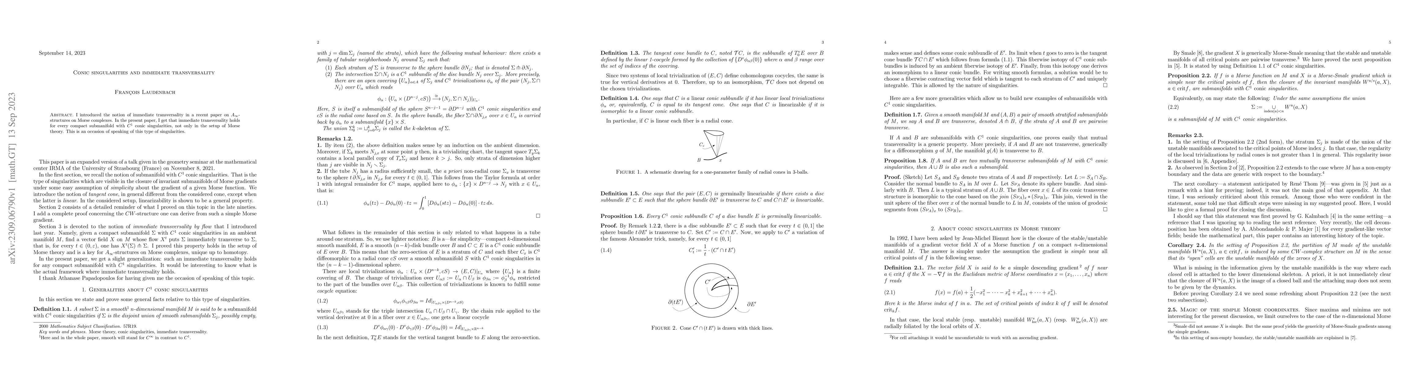 Thumbnail for Conic singularities and immediate transversality