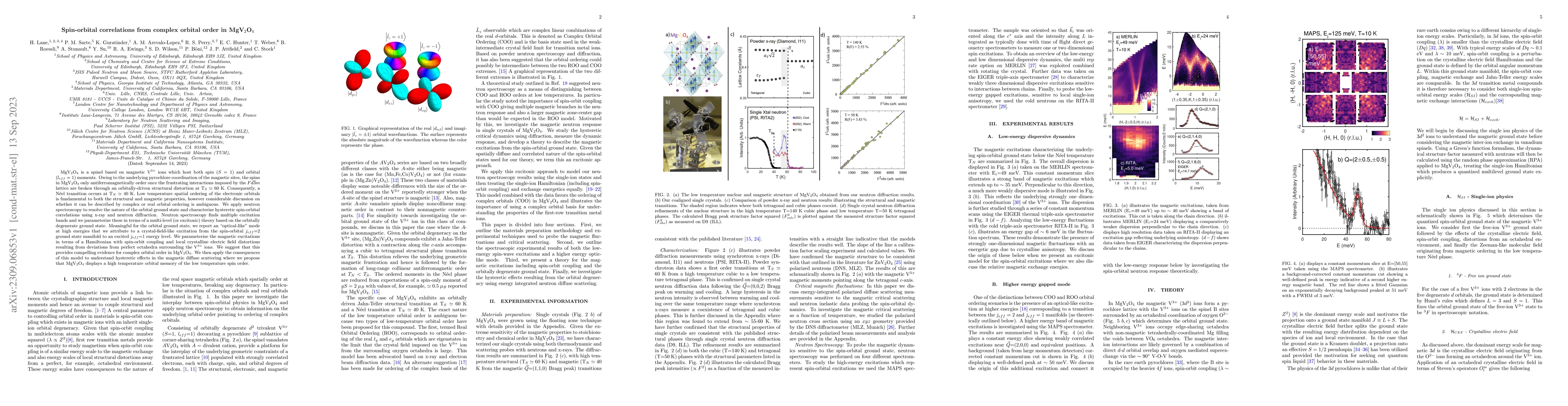 Thumbnail for Spin-orbital correlations from complex orbital order in MgV$_{2}$O$_{4}$