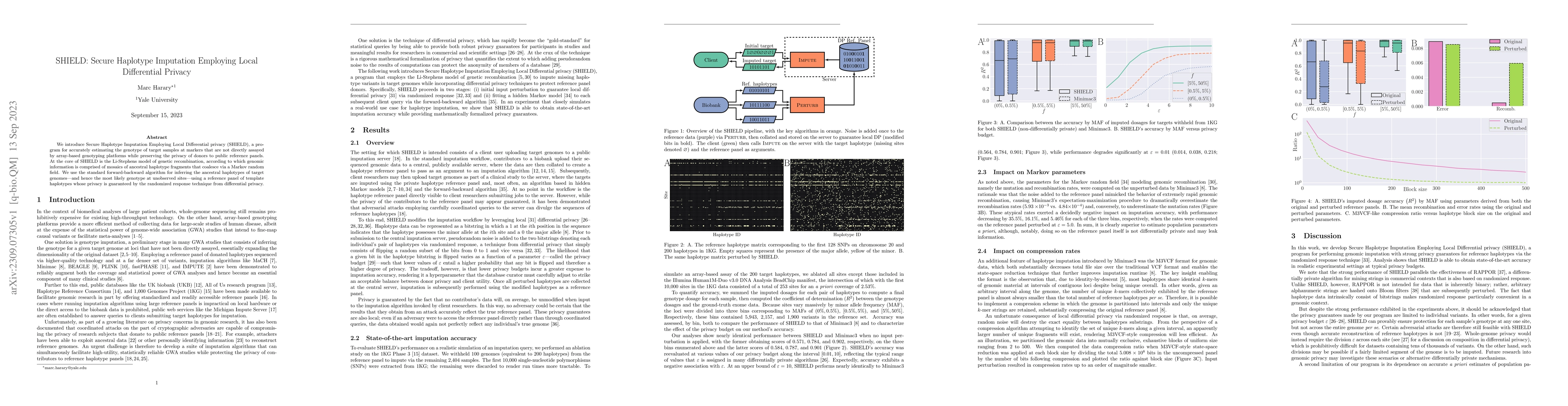 Thumbnail for SHIELD: Secure Haplotype Imputation Employing Local Differential Privacy