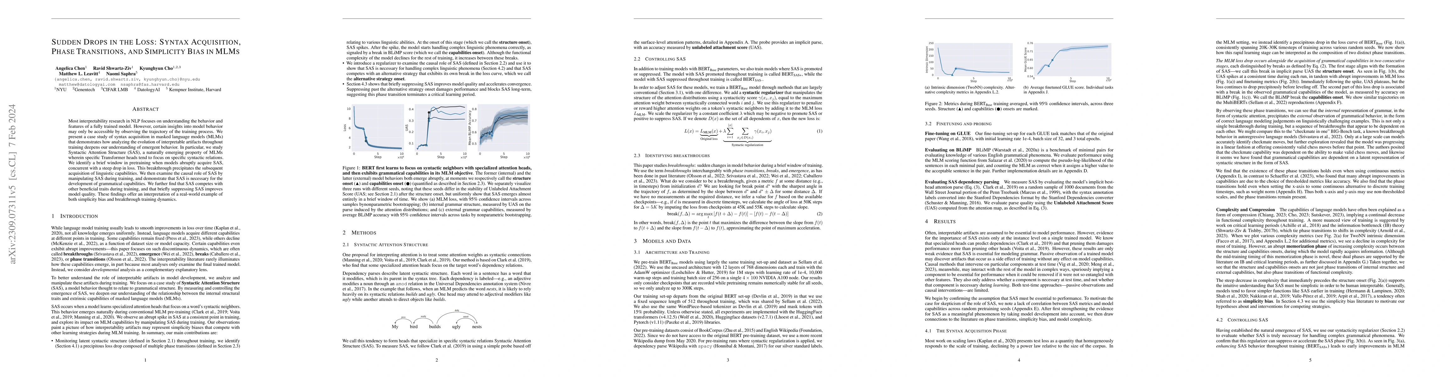 Thumbnail for Sudden Drops in the Loss: Syntax Acquisition, Phase Transitions, and
  Simplicity Bias in MLMs