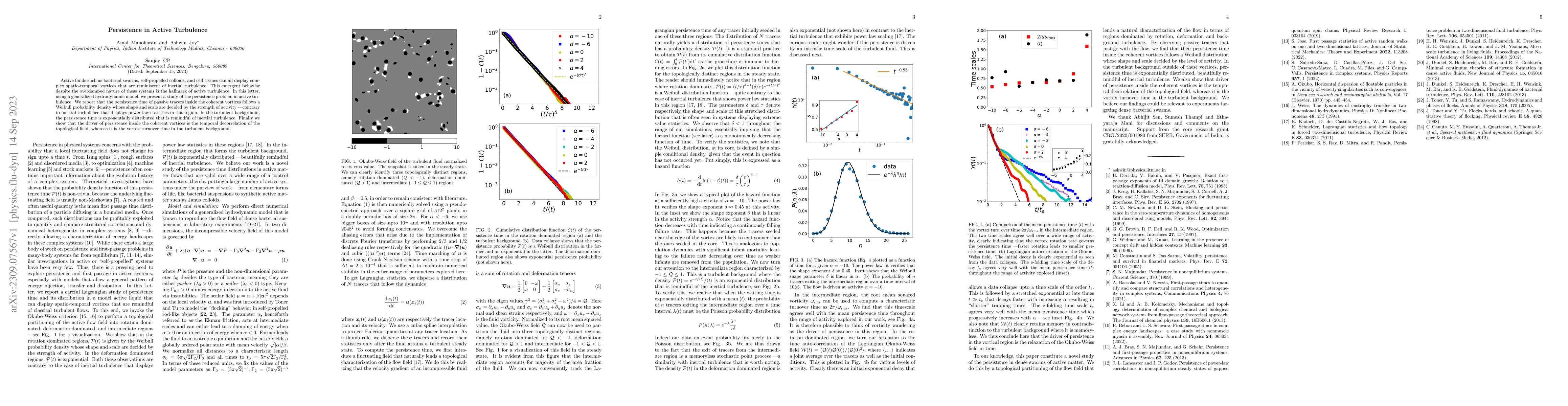 Thumbnail for Persistence in Active Turbulence