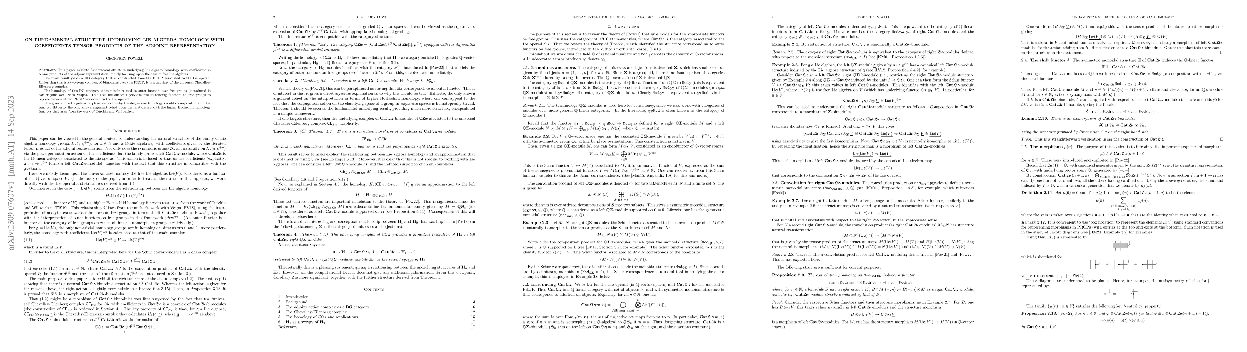 Thumbnail for On fundamental structure underlying Lie algebra homology with
  coefficients tensor products of the adjoint representation