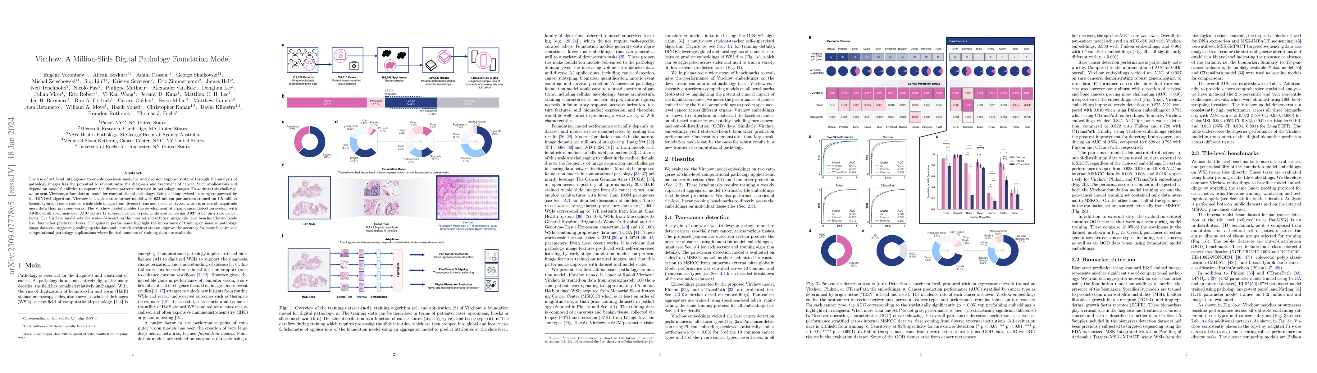 Thumbnail for Virchow: A Million-Slide Digital Pathology Foundation Model