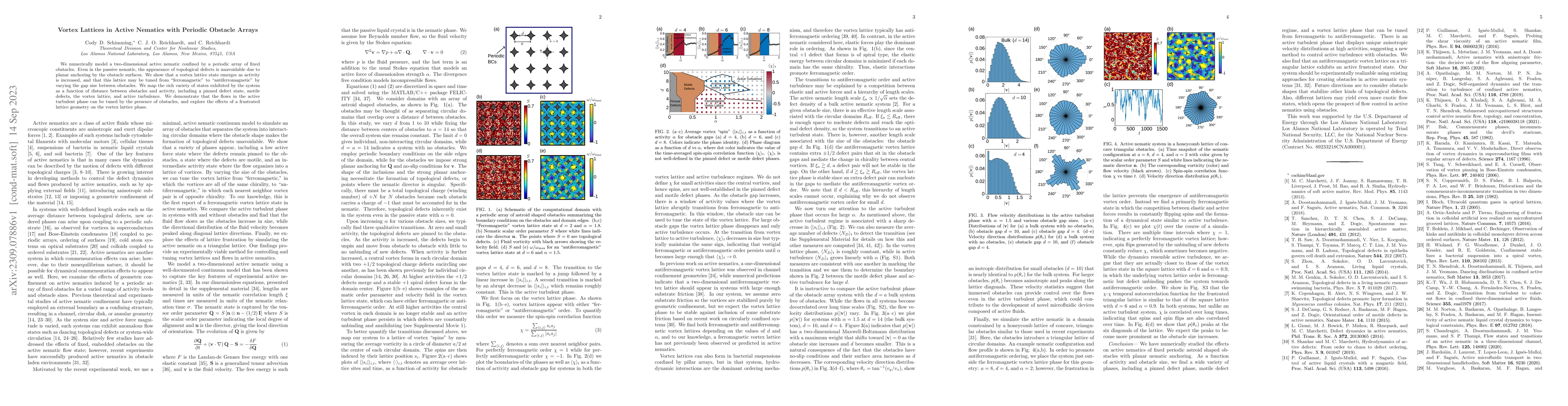 Thumbnail for Vortex Lattices in Active Nematics with Periodic Obstacle Arrays