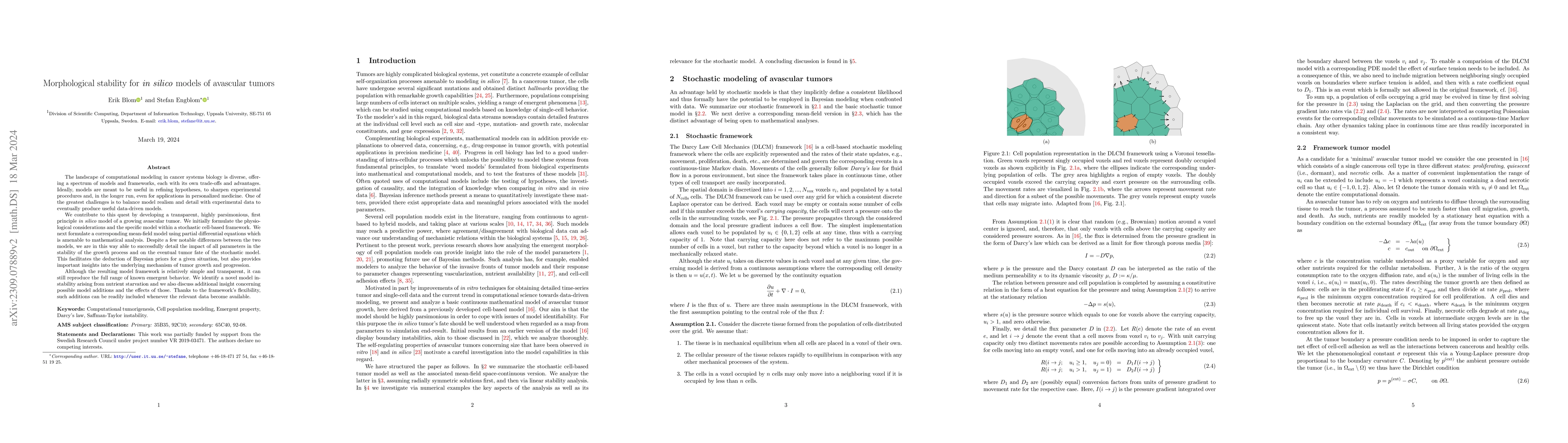 Thumbnail for Morphological stability for in silico models of avascular tumors