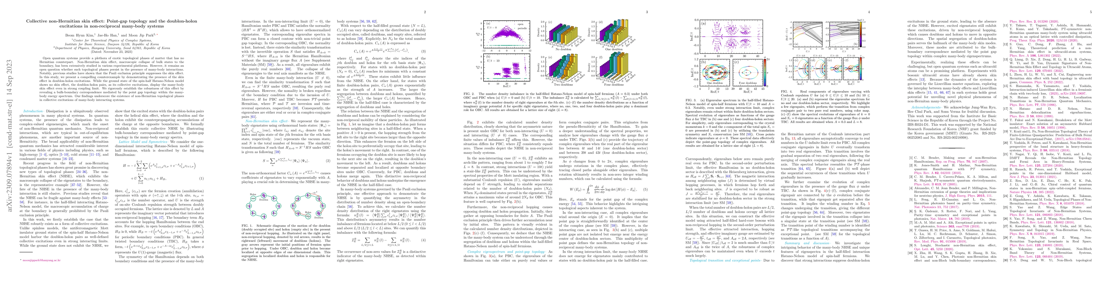Thumbnail for Collective non-Hermitian skin effect: Point-gap topology and the
  doublon-holon excitations in non-reciprocal many-body systems