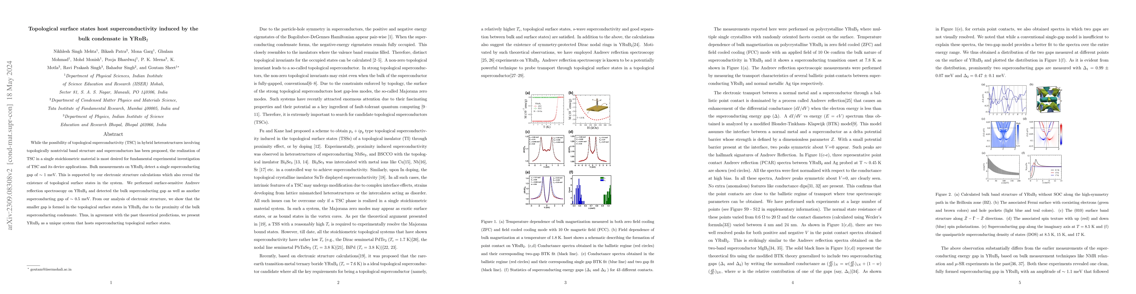 Thumbnail for Topological surface states host superconductivity induced by the bulk
  condensate in YRuB$_2$