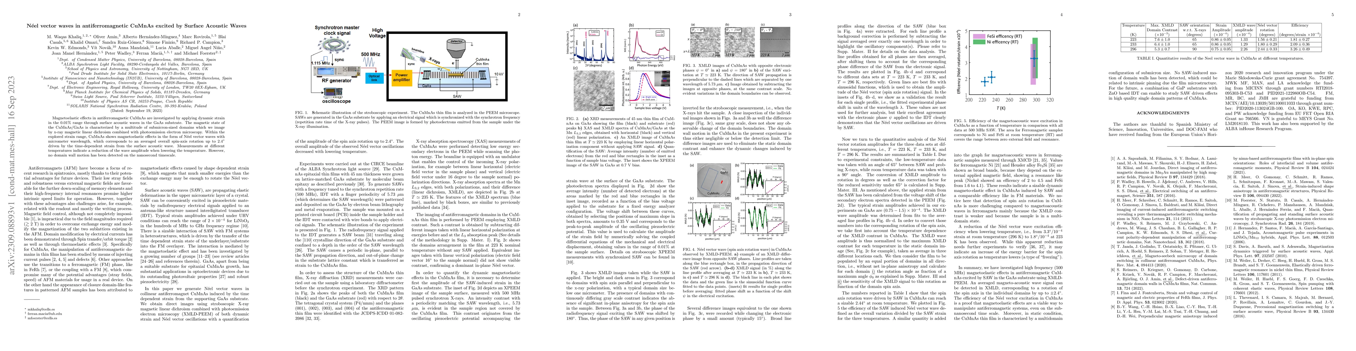 Thumbnail for Magneto-Acoustic Waves in antiferromagnetic CuMnAs excited by Surface
  Acoustic Waves