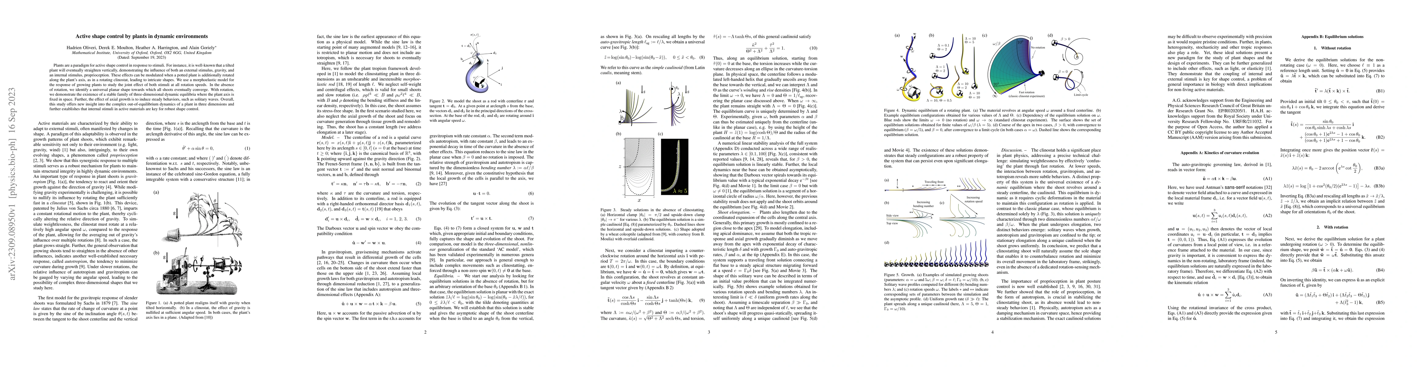 Thumbnail for Active shape control by plants in dynamic environments