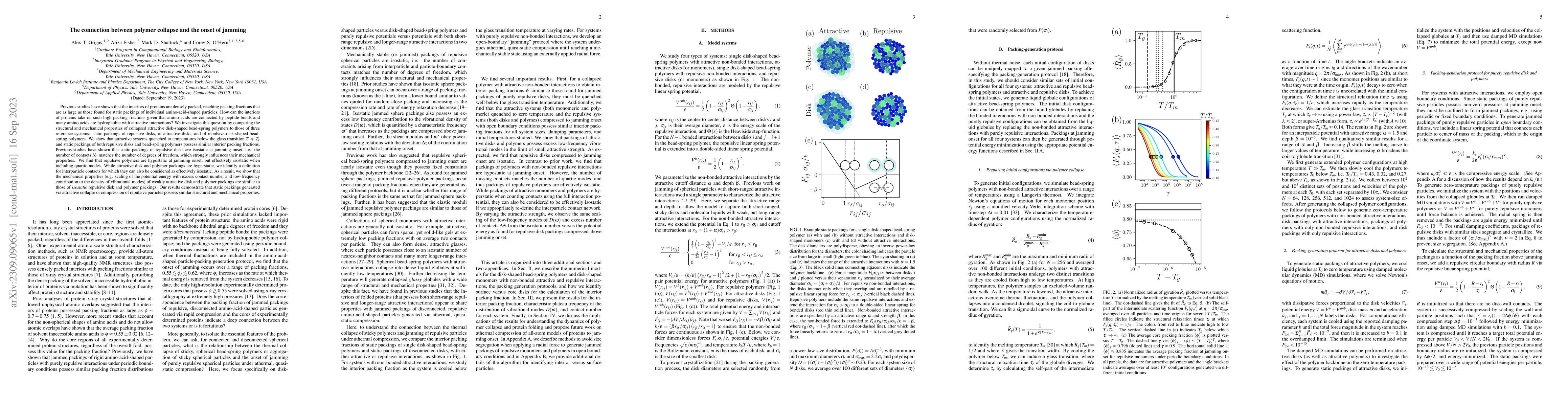 Thumbnail for The connection between polymer collapse and the onset of jamming