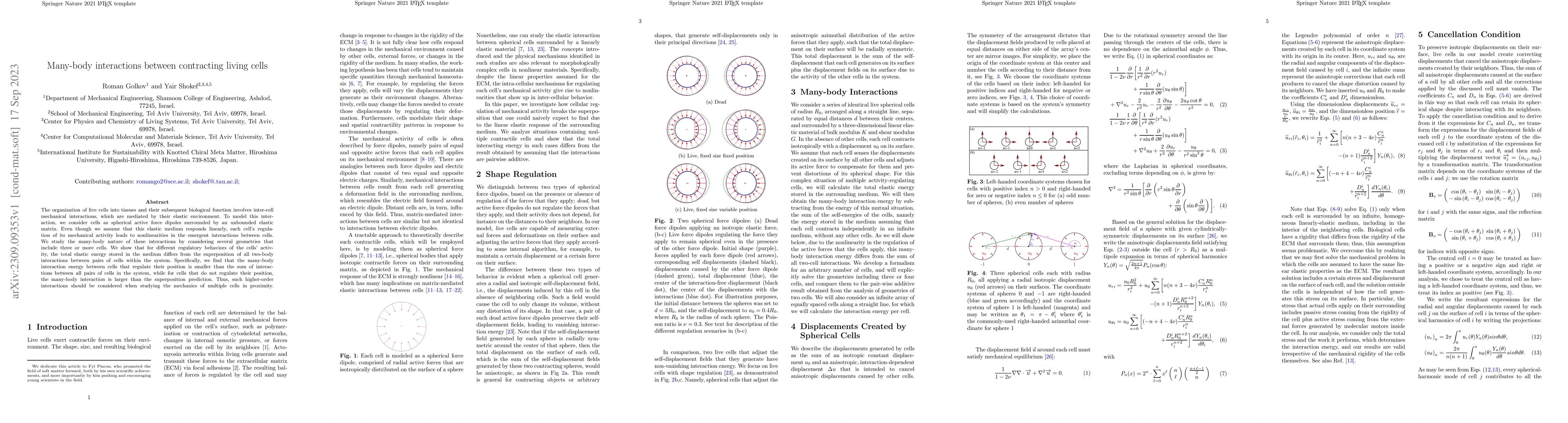 Thumbnail for Many-body interactions between contracting living cells