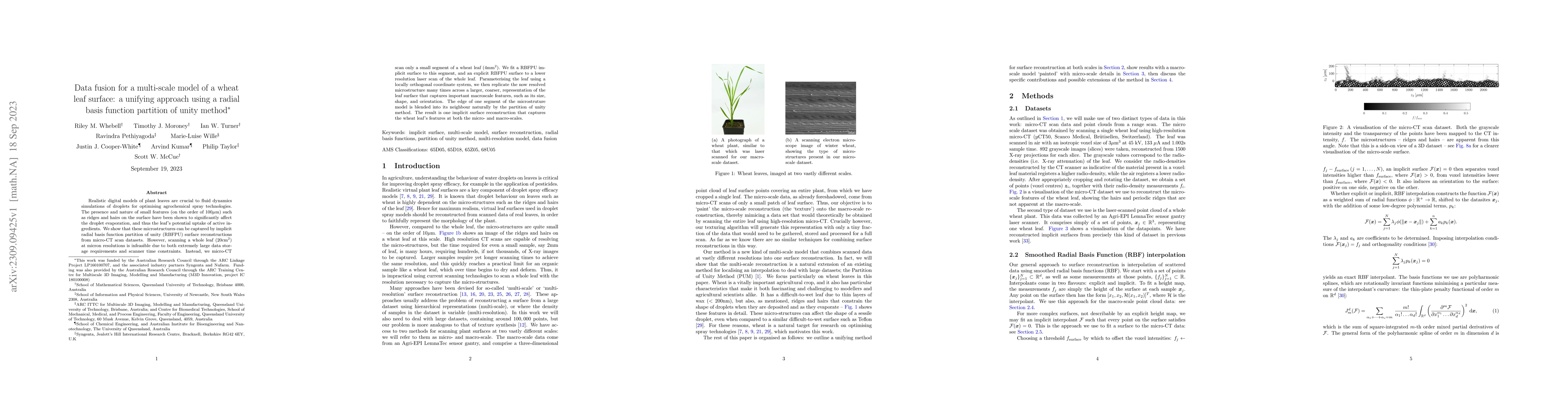 Thumbnail for Data fusion for a multi-scale model of a wheat leaf surface: a unifying
  approach using a radial basis function partition of unity method